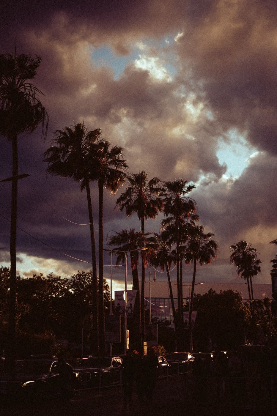 CANNES, n°54