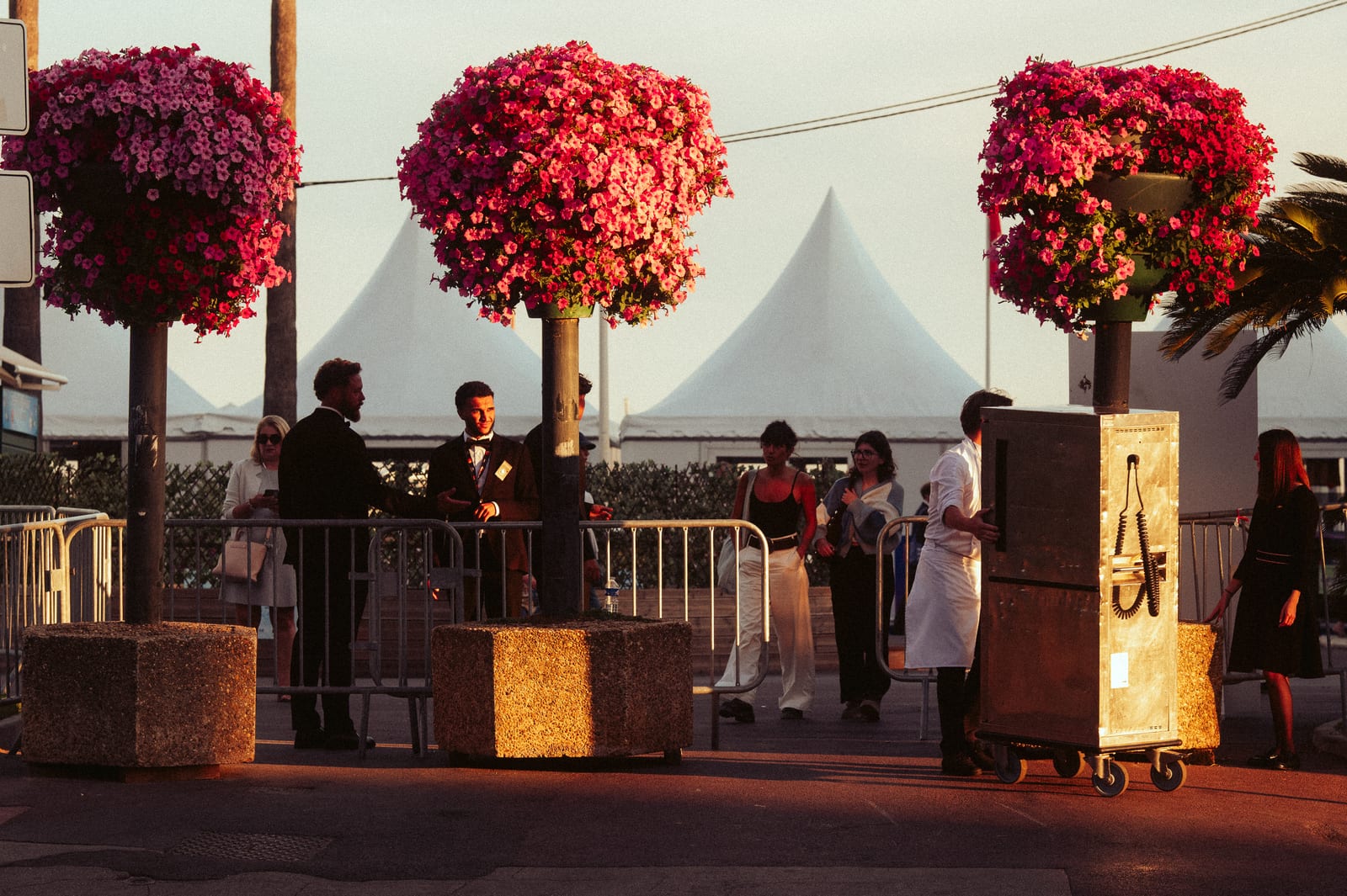 CANNES, n°40