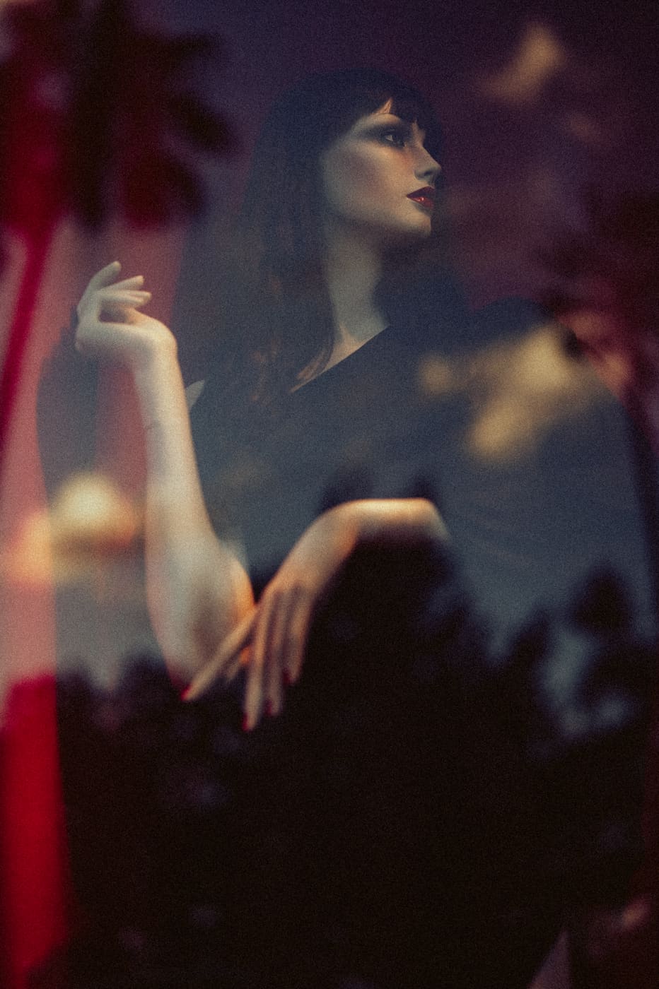 CANNES, n°53
