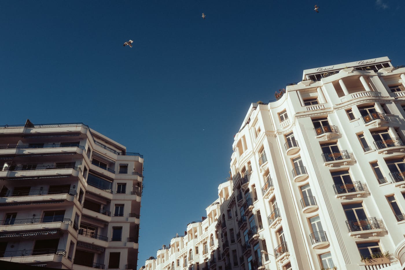CANNES, n°72