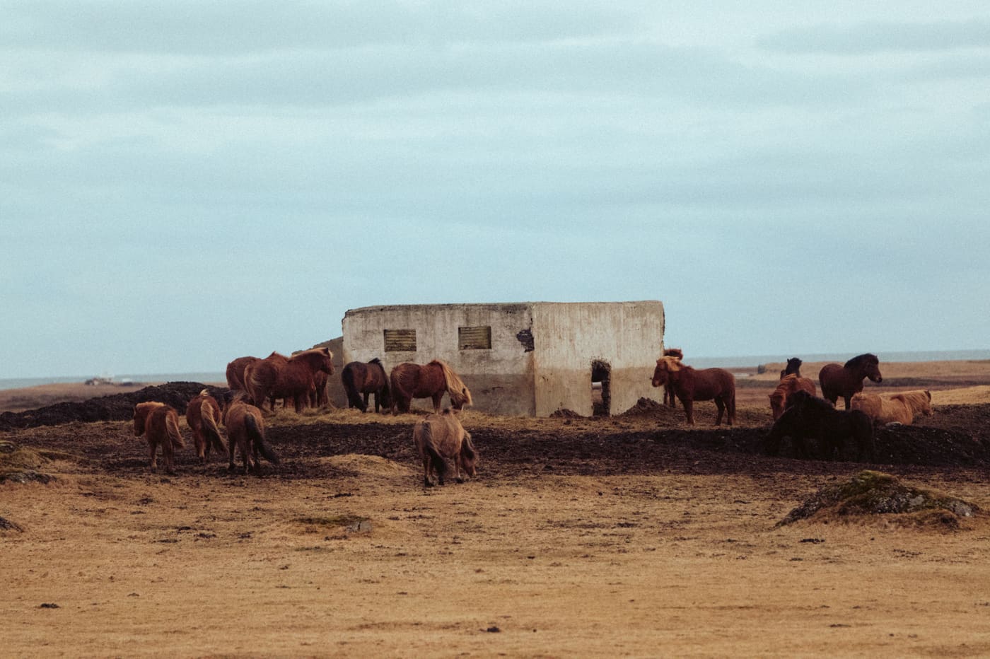 ISLANDE, n°13