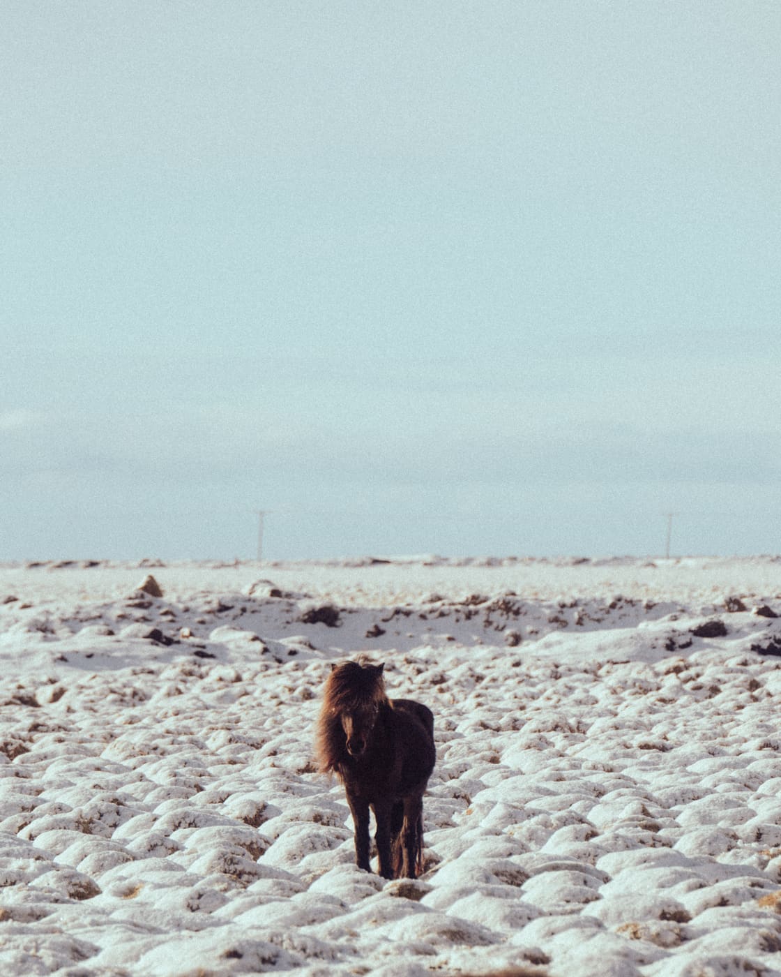 ISLANDE, n°43