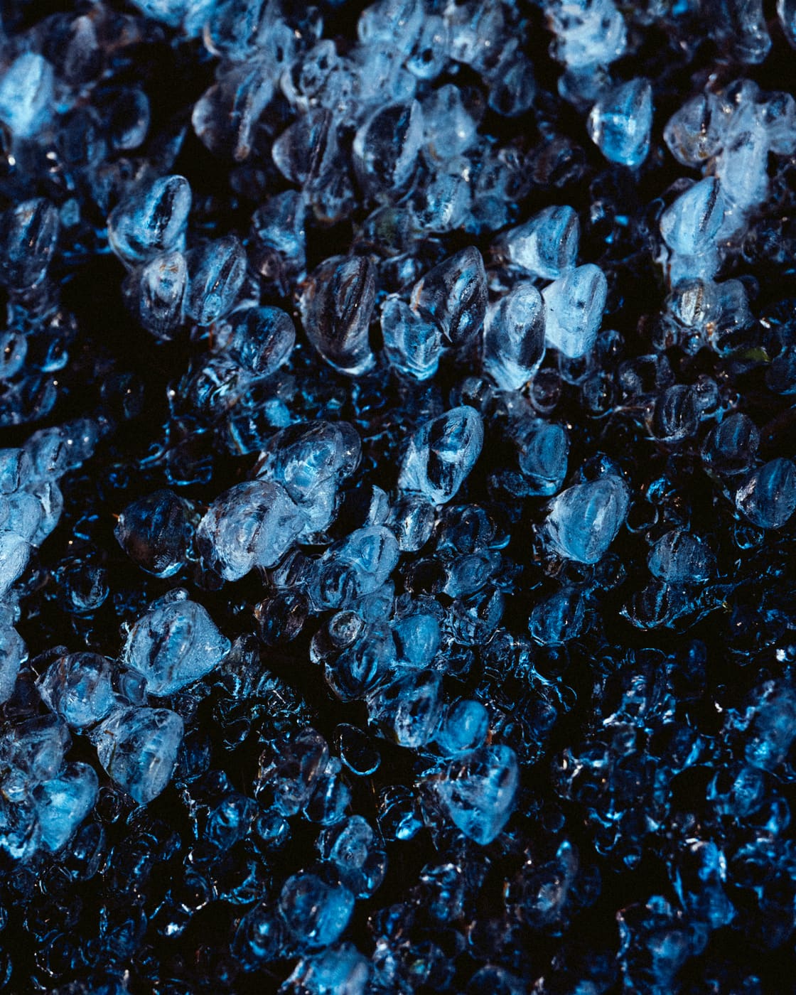 ISLANDE, n°12
