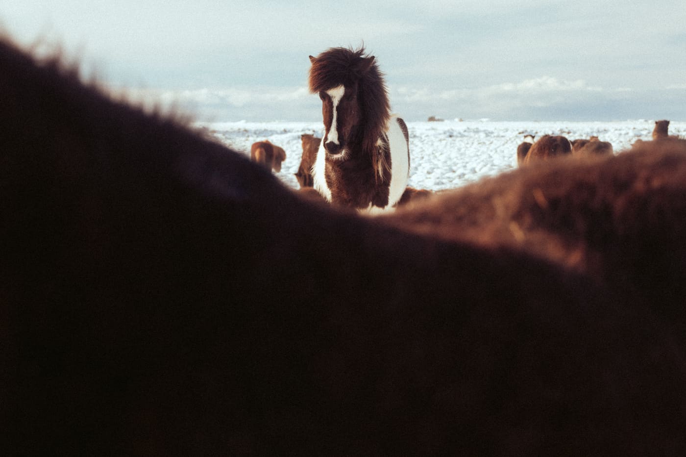 ISLANDE, n°15