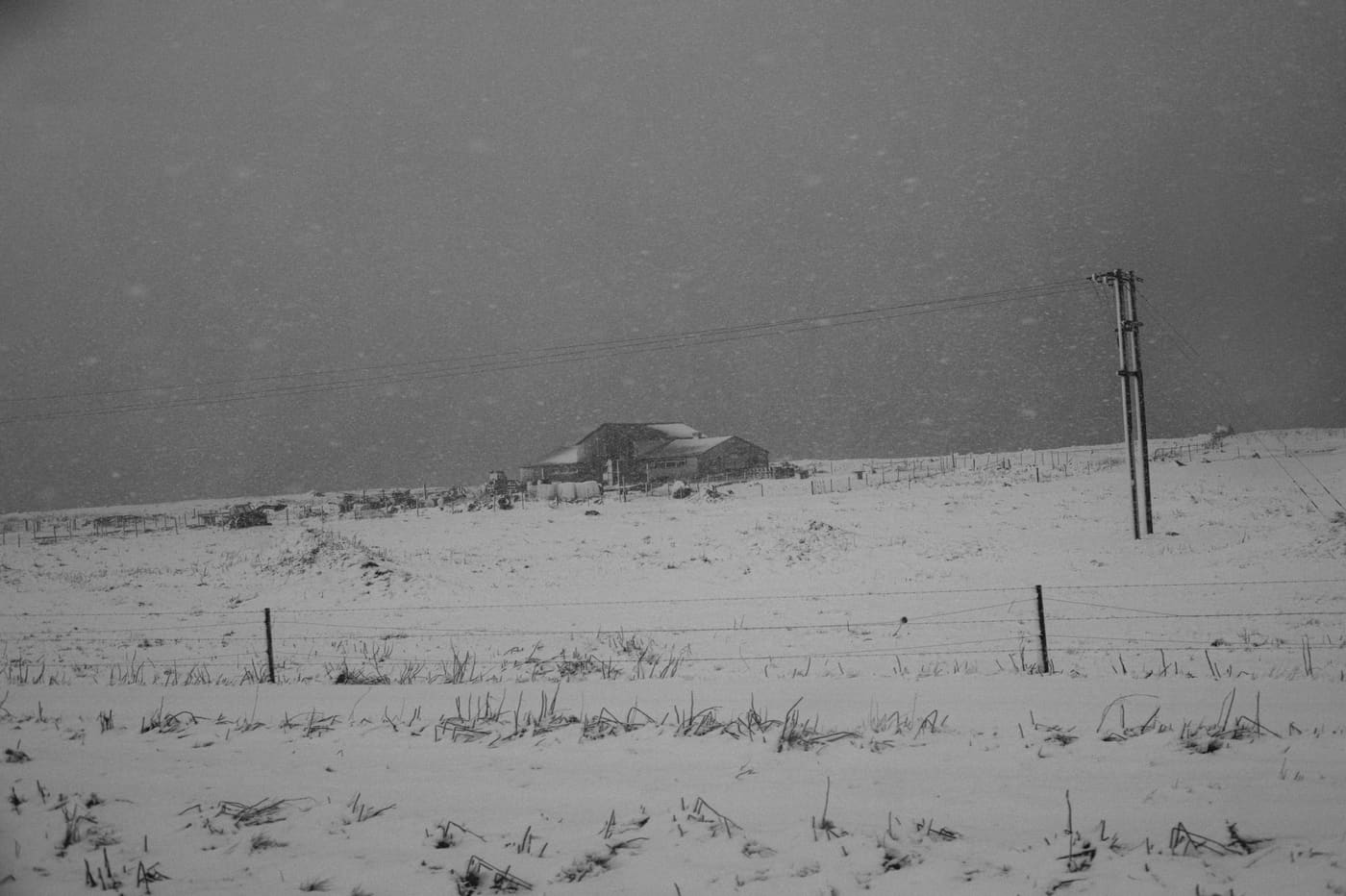 ISLANDE, n°46