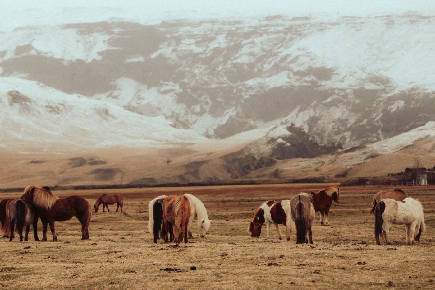 ISLANDE, n°42