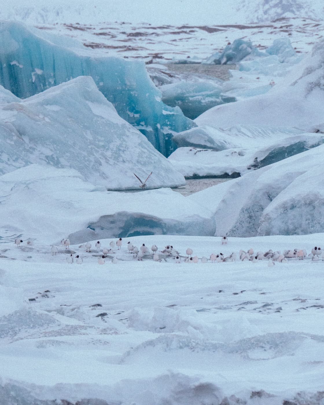 ISLANDE, n°65