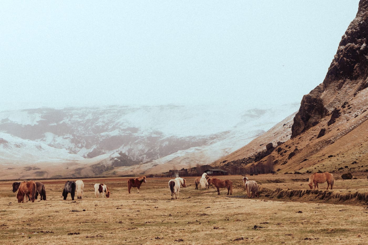 ISLANDE, n°63