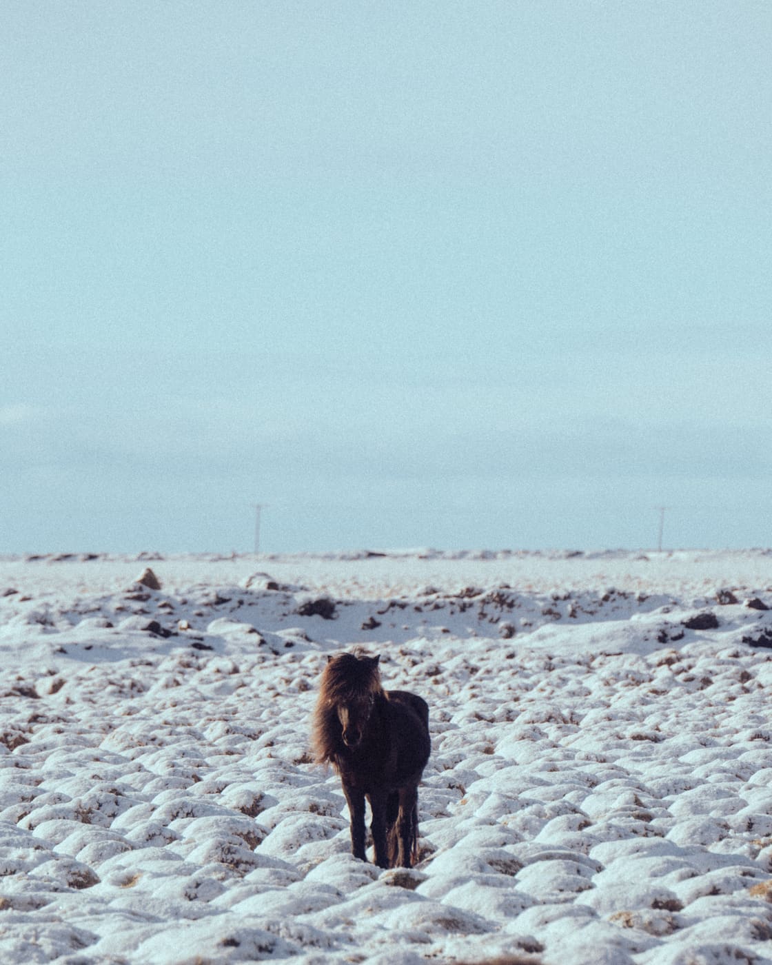 ISLANDE, n°44