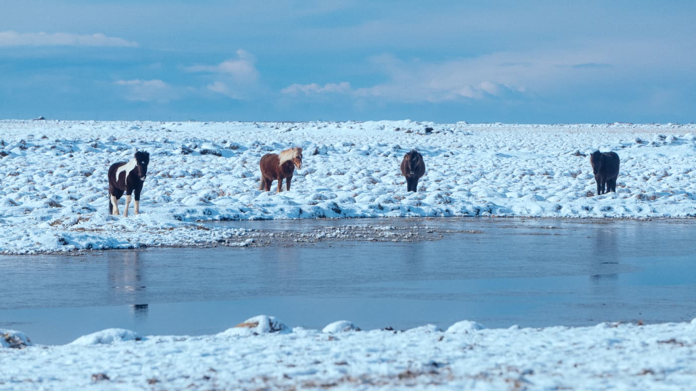 ISLANDE, n°6