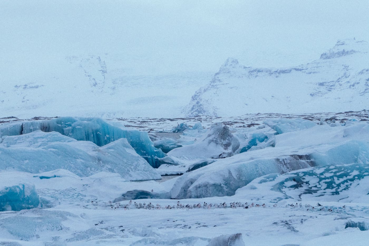 ISLANDE, n°37