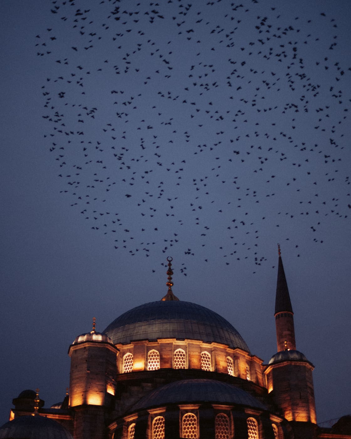 ISTANBUL, n°35