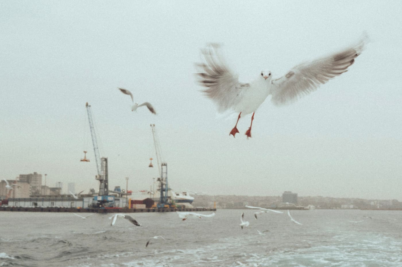 ISTANBUL, n°43
