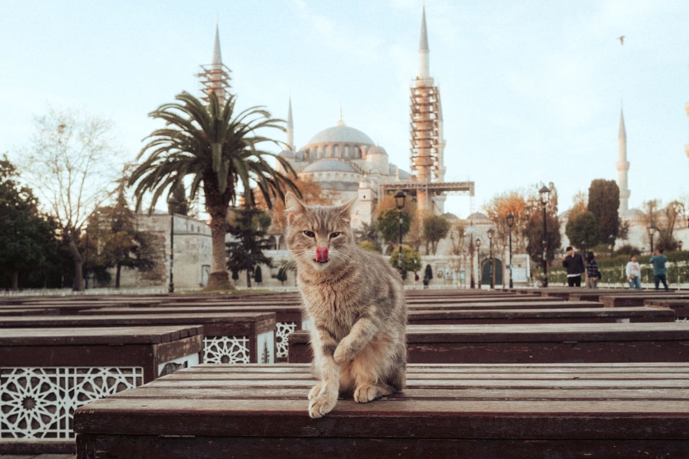 ISTANBUL, n°25
