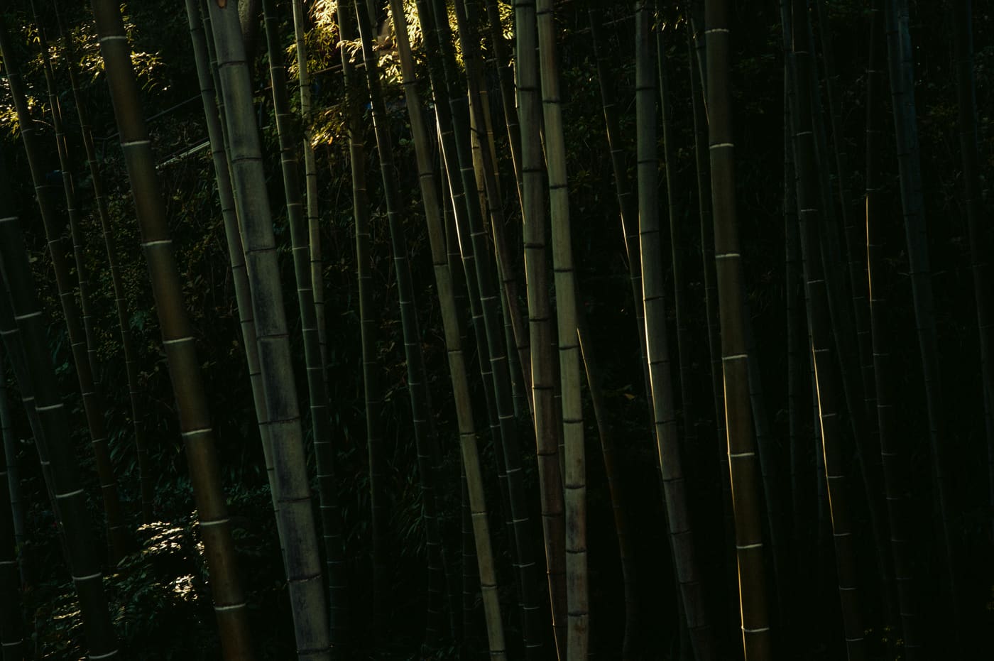 Tokyo, n°48