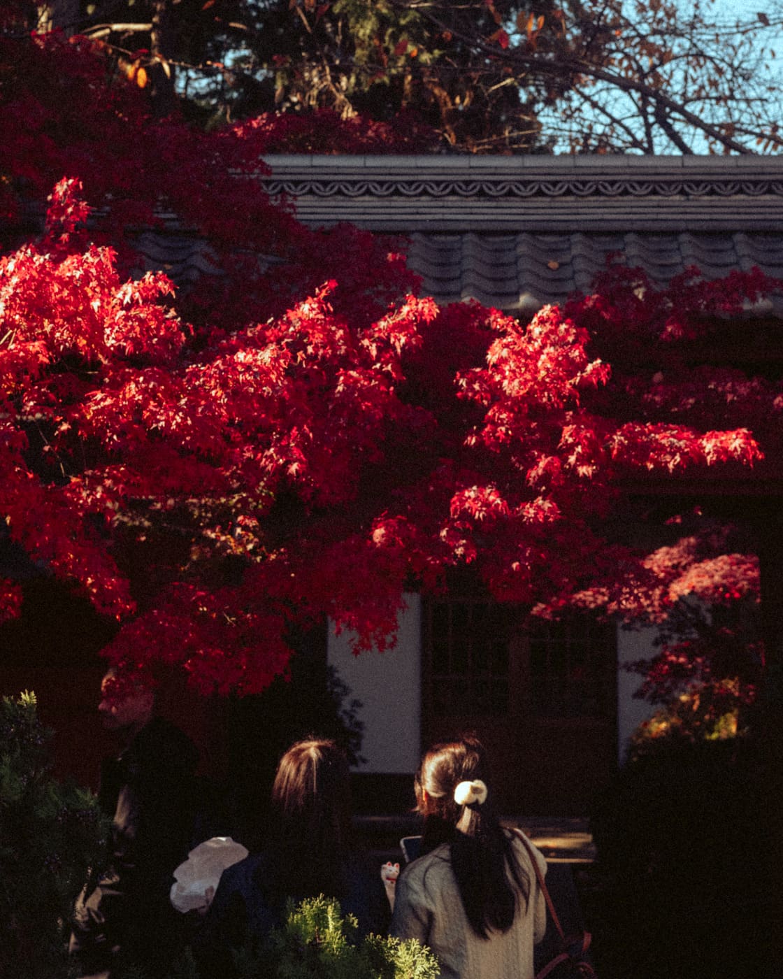 Tokyo, n°61