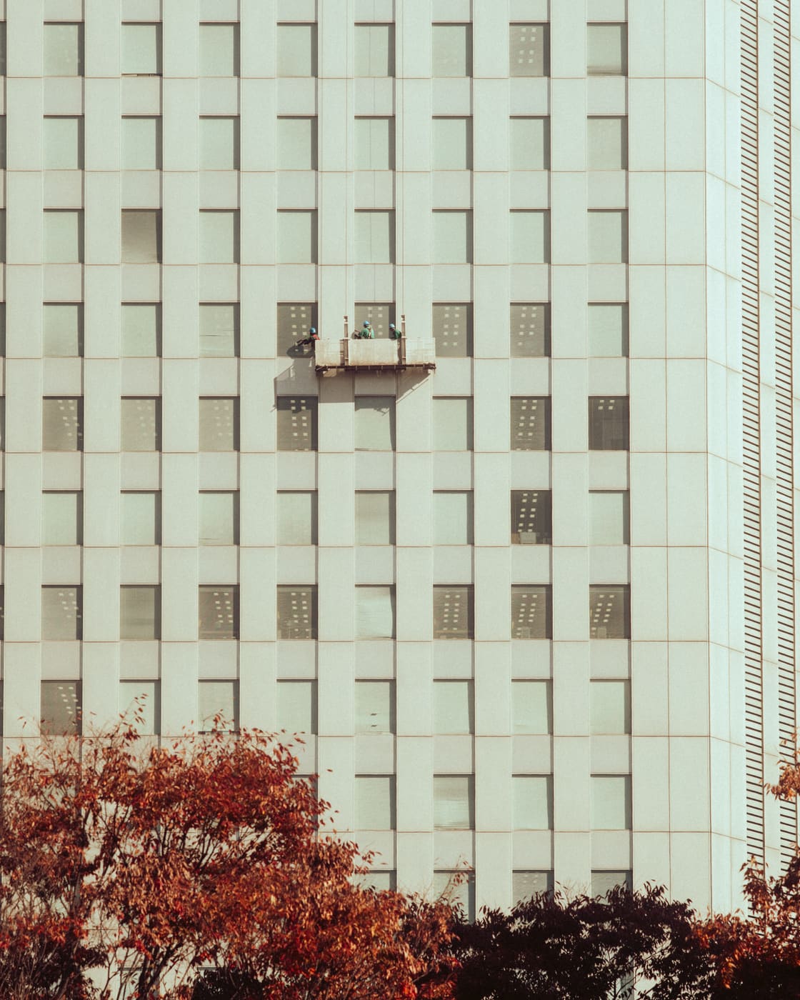 Tokyo, n°8